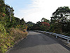 t21_124_thumb.jpg
