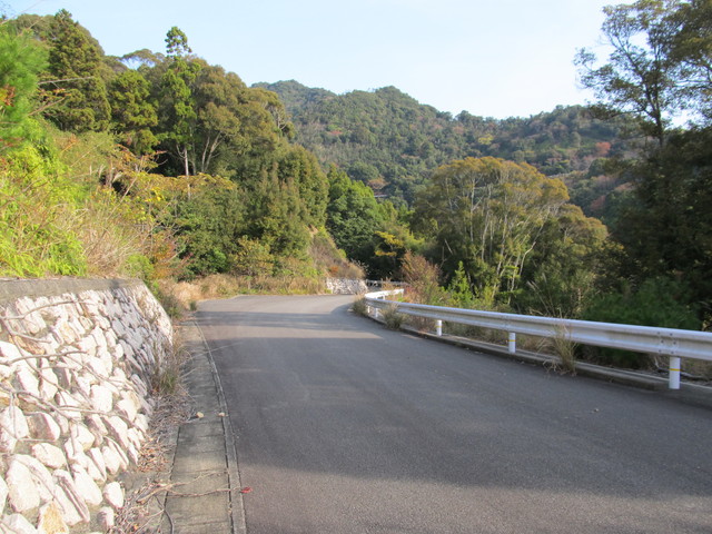 t21_125.jpg