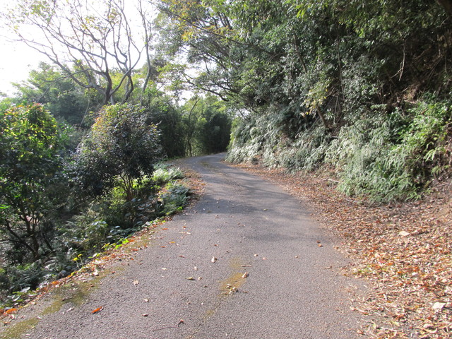 t21_126.jpg