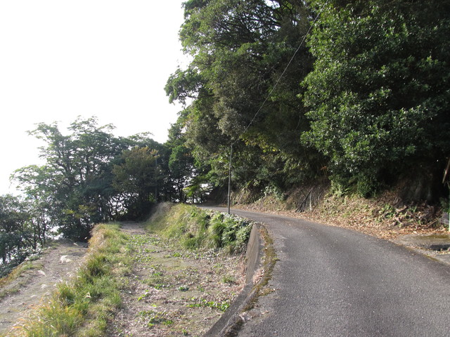t21_128.jpg