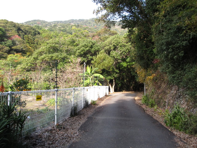 t21_129.jpg