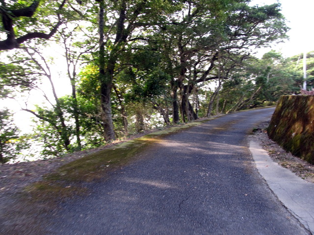 t21_130.jpg