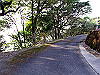 t21_130_thumb.jpg
