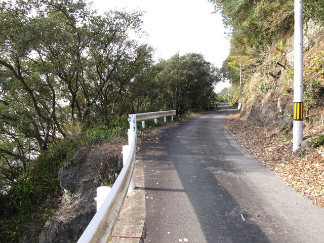 t21_132.jpg