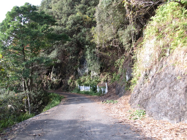 t21_134.jpg