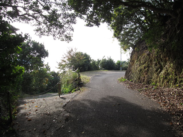 t21_136.jpg