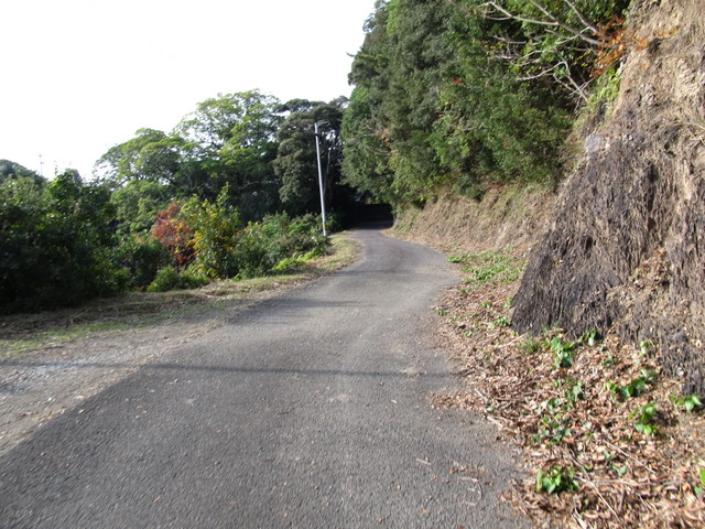 t21_137.jpg
