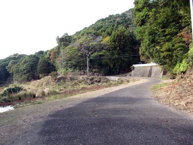 t21_138.jpg