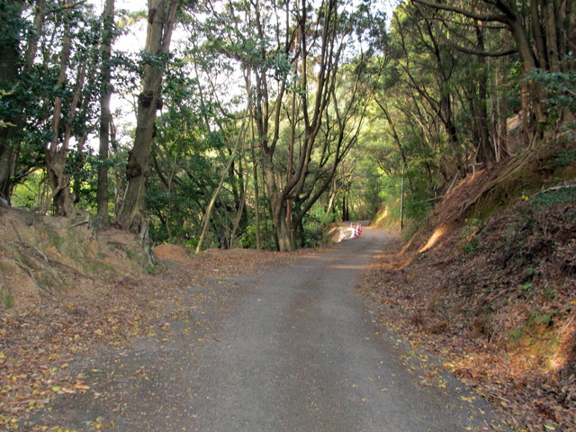 t21_140.jpg