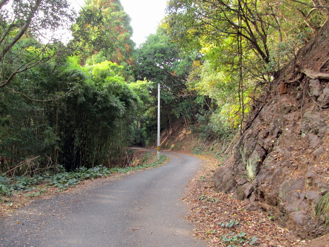 t21_146.jpg