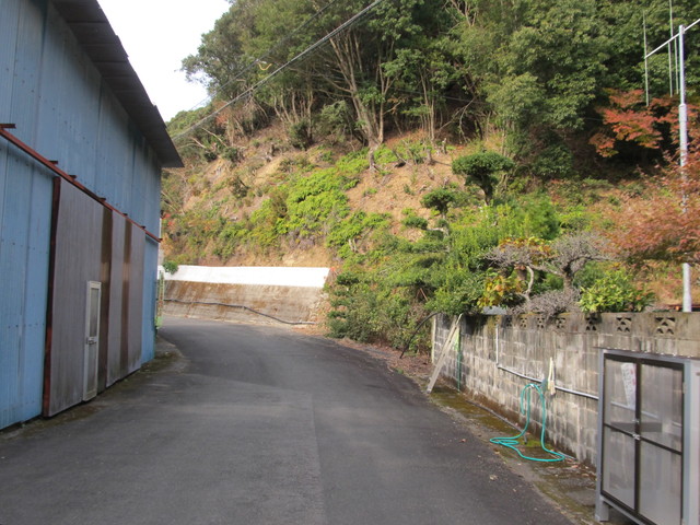 t21_147.jpg
