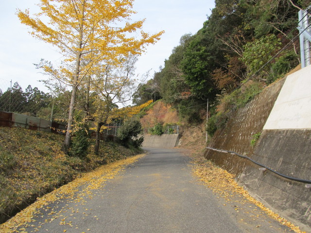 t21_148.jpg