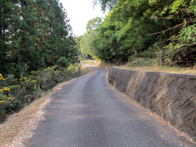 t21_150.jpg