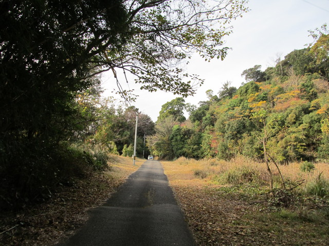 t21_154.jpg