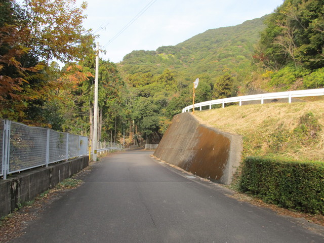 t21_158.jpg