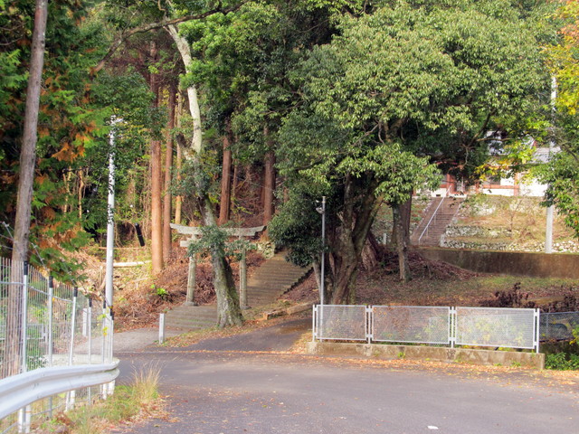 t21_159.jpg