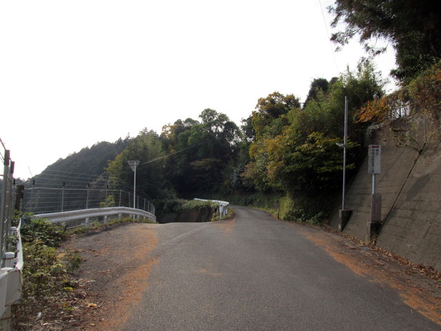 t21_161.jpg