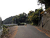 t21_161_thumb.jpg