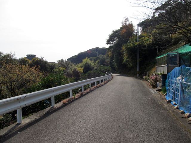 t21_164.jpg