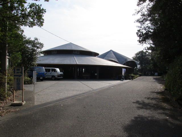 t21_166.jpg