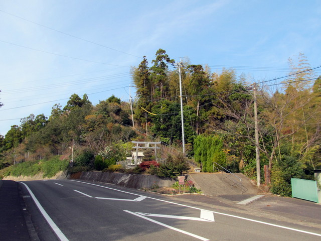t21_172.jpg