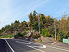 t21_172_thumb.jpg