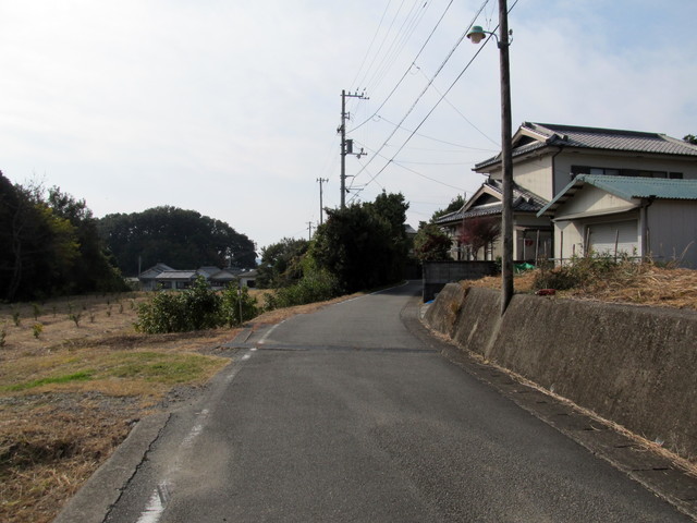 t21_174.jpg