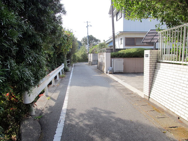 t21_175.jpg