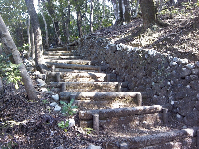 t21_180.jpg