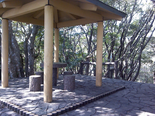 t21_183.jpg