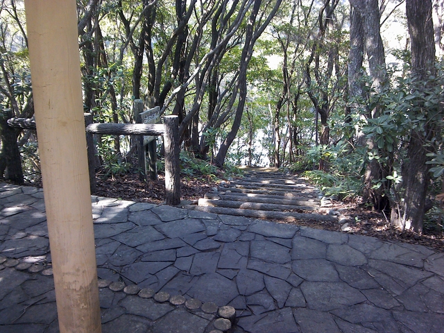 t21_184.jpg