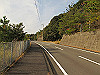 t21_189_thumb.jpg