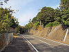 t21_190_thumb.jpg