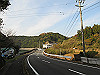 t21_191_thumb.jpg