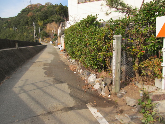 t21_192.jpg