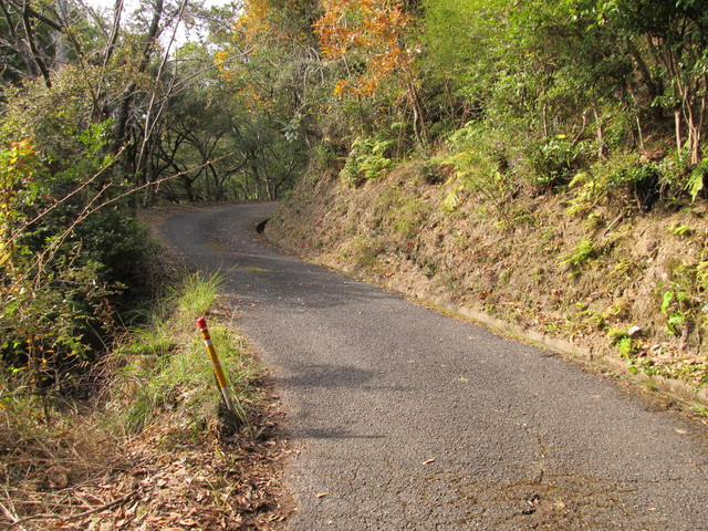 t21_194.jpg