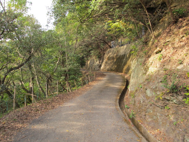 t21_195.jpg