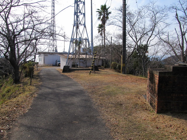 t21_199.jpg