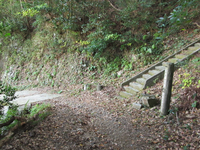 t21_212.jpg