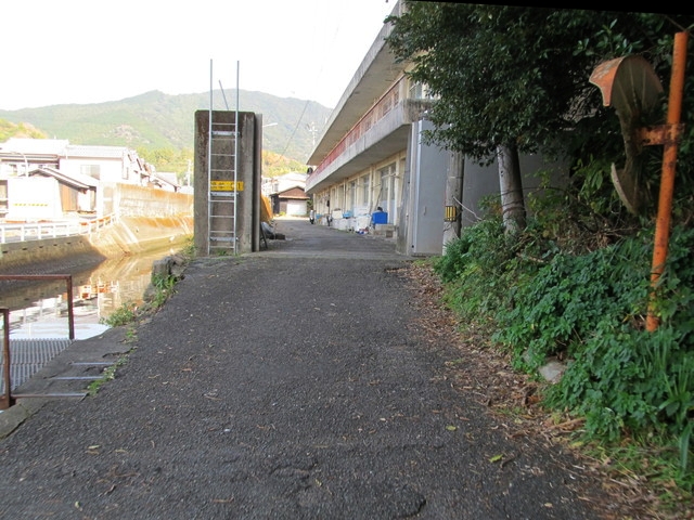 t21_215.jpg