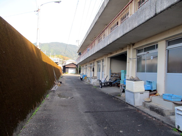 t21_216.jpg