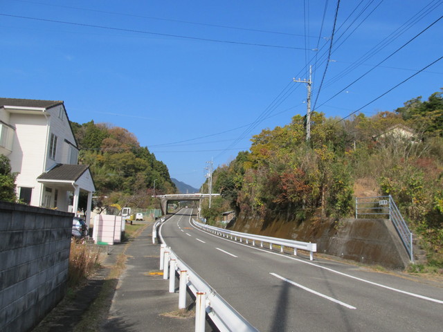 t21_222.jpg