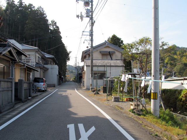 t22_014.jpg