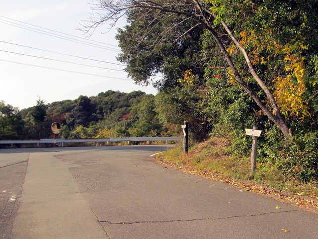 t22_026.jpg
