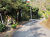 t22_030_thumb.jpg