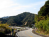 t22_034_thumb.jpg