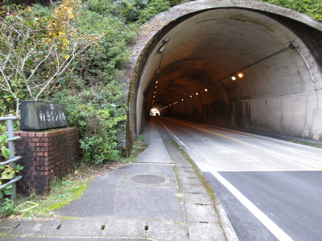 t22_038.jpg