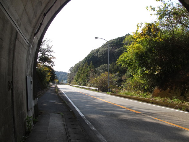 t22_040.jpg