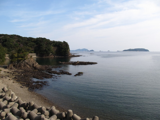 t22_048.jpg