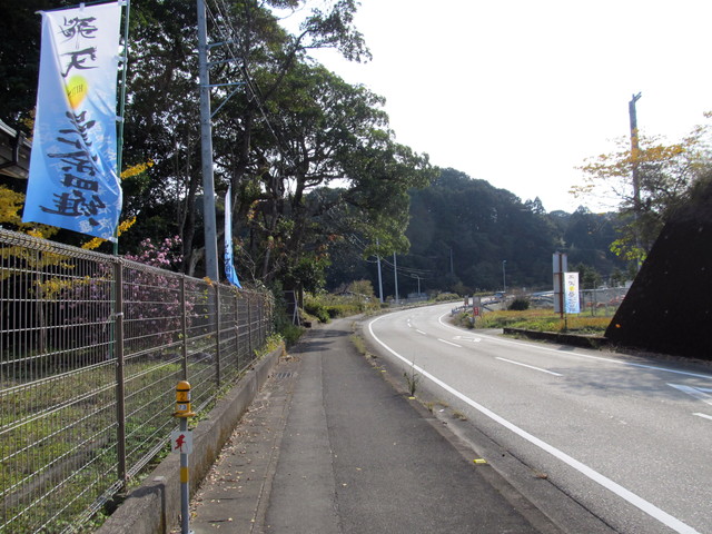 t22_056.jpg